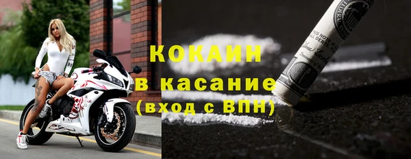 прущие грибы Абаза