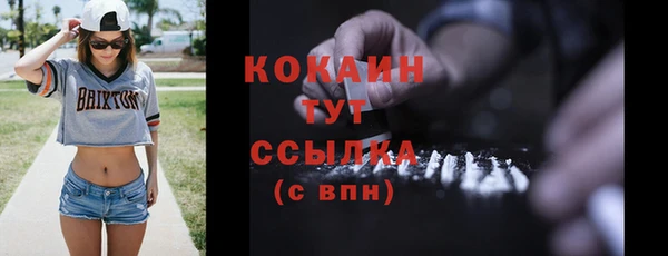 винт Пересвет